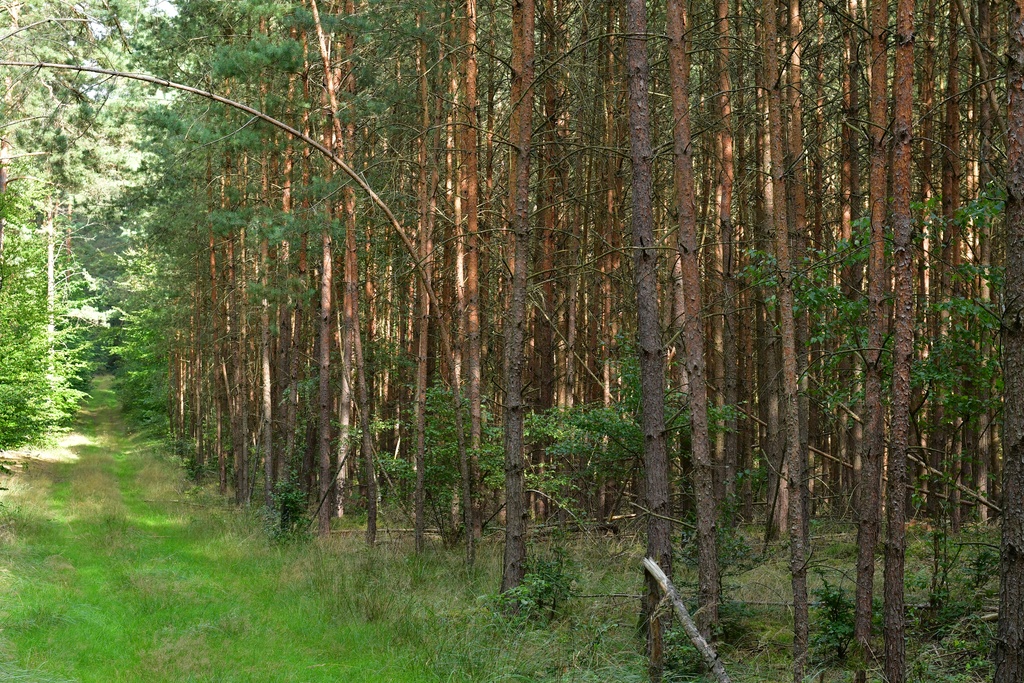 2020-08-23 Fürstenberg/DSC_5190.JPG